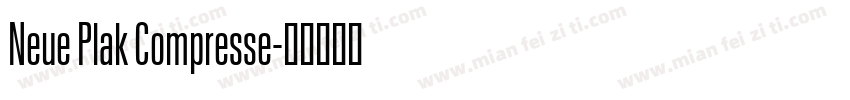 Neue Plak Compresse字体转换